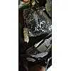 reviewpro-GxHQUYYfuvKn4Rm6-import.jpeg