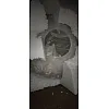 reviewpro-CkIkchO9wjUm4apH-import.jpeg