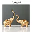 شكل رقم 11