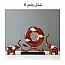 شكل رقم 6 +271.02 ر.س 
